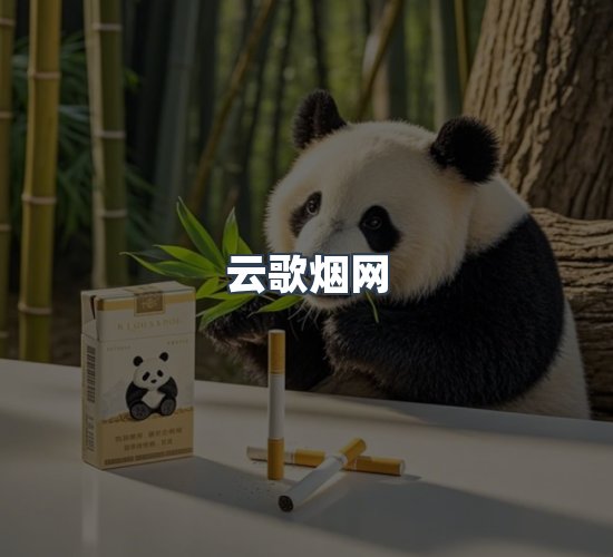 关于云歌烟网